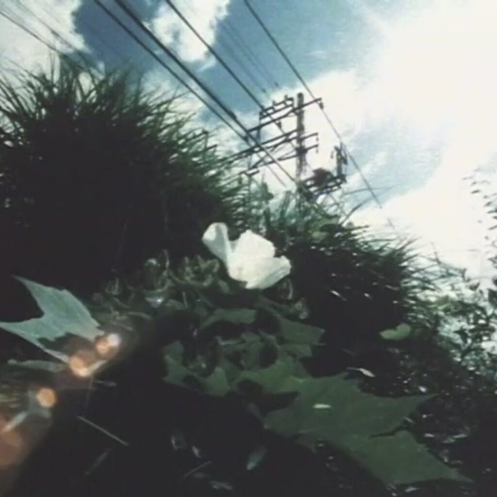 Motion Photograffiti (2000 by Jun Miyazaki)